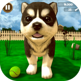 playpix com casino截图